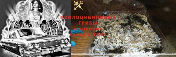 дистиллят марихуана Нефтекумск