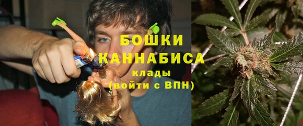 бошки Нея
