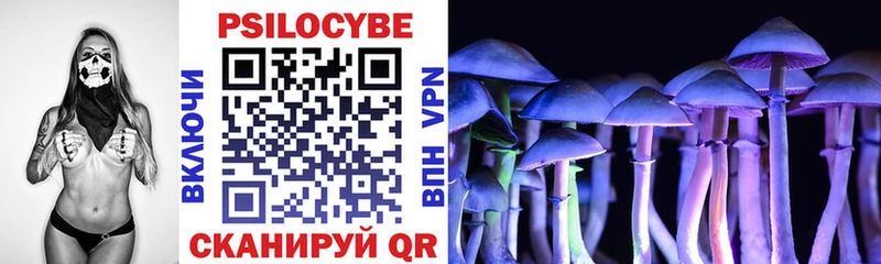 Псилоцибиновые грибы ЛСД  где купить   hydra ТОР  Юрьев-Польский 